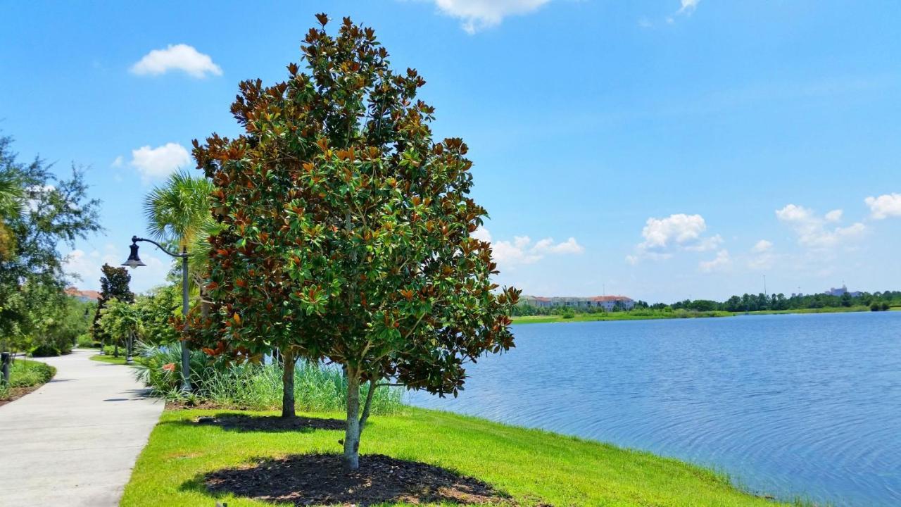 Ground-Floor Condo Next To Vista Cay Clubhouse And Pool! Orlando Buitenkant foto